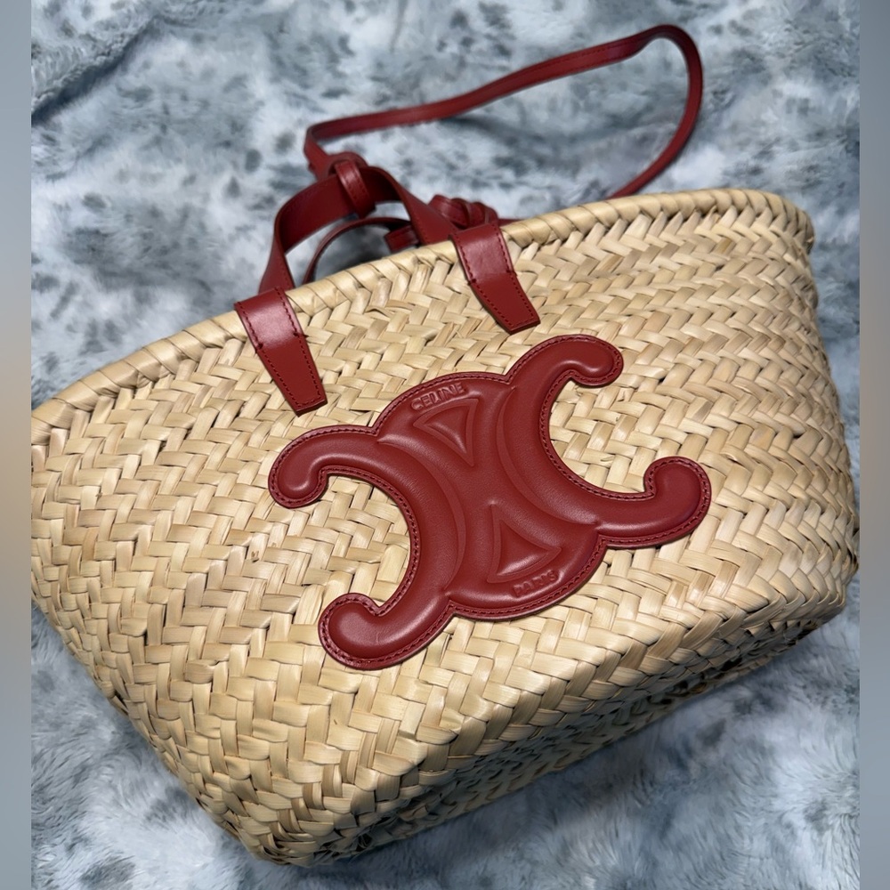 CELINE Triomphe Teen Classic Panier Cage Bag